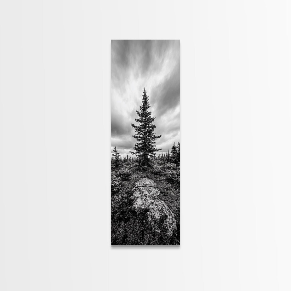 Lone Pine Tree, Forest Mood, Wilderness Art, Framed Canvas Print, Minimalist Wall Decor, Cabin Art, Neutral Fall Tones, Nature Lover Gift
