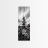Lone Pine Tree, Forest Mood, Wilderness Art, Framed Canvas Print, Minimalist Wall Decor, Cabin Art, Neutral Fall Tones, Nature Lover Gift