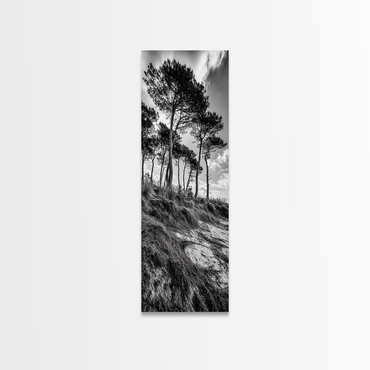Windy Pines, Cliff Edge, Tree Silhouettes, Canvas Print, Moody Forest Photography, Rustic Cabin Wall Art, Autumn Living Room Decor