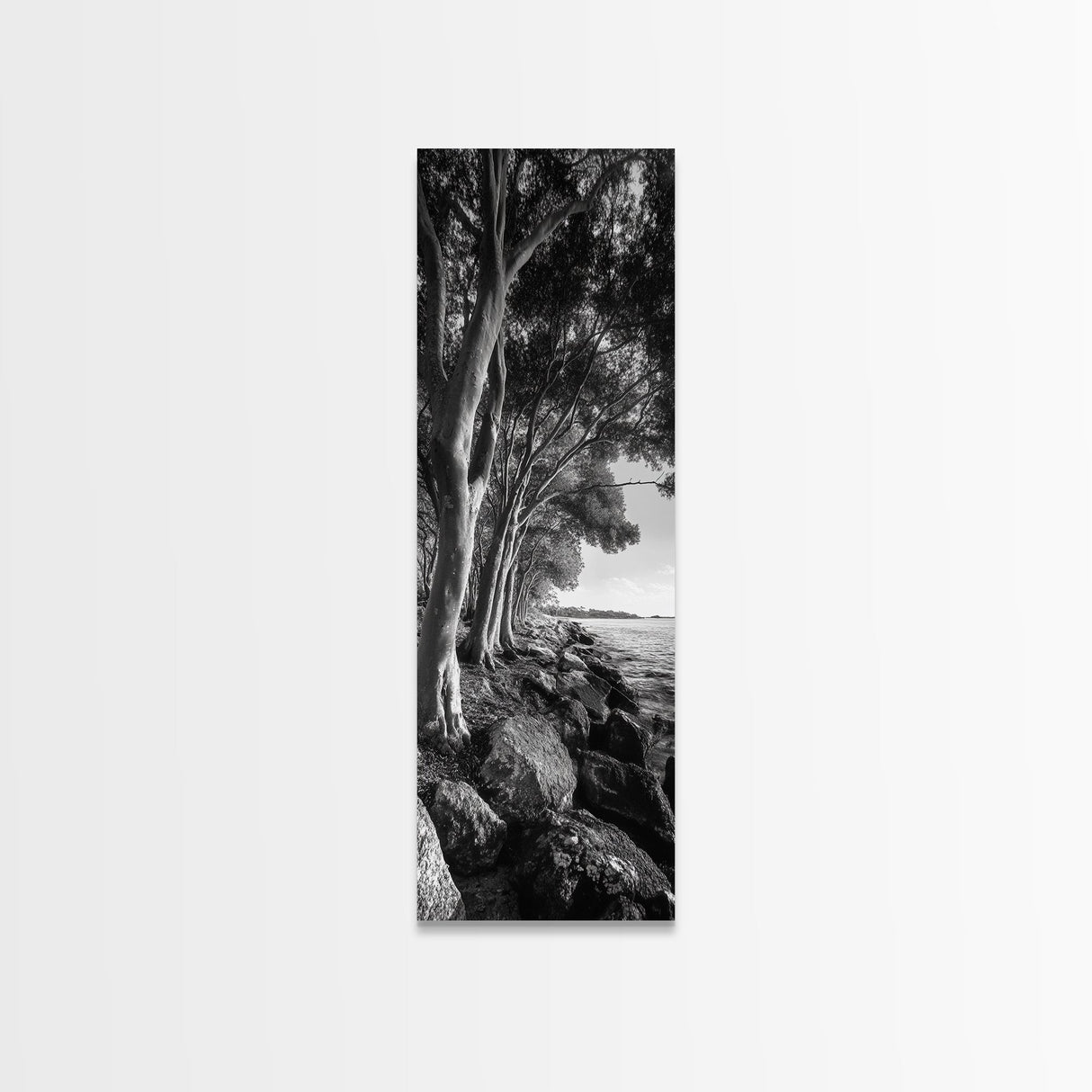 Riverside Trees, Rocky Shore, Natural Light, Canvas Print, Tranquil Forest Photography, Boho Nature Decor, Living Room Wall Art