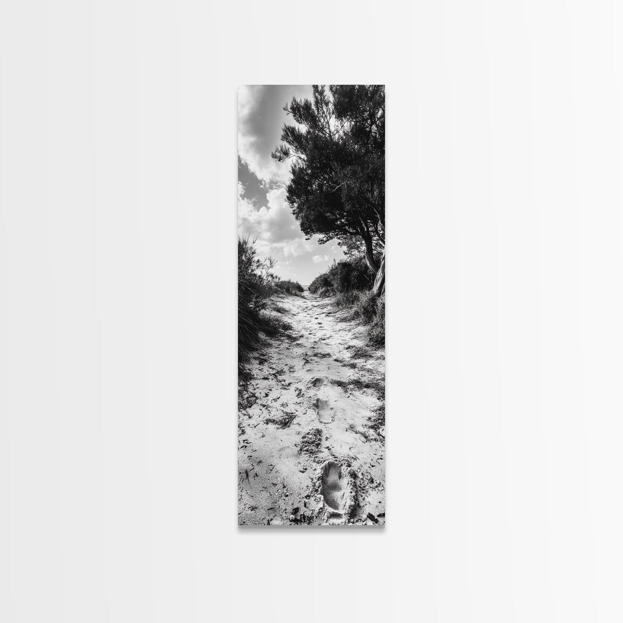 Sandy Trail Path, Coastal Forest Walk, Nature Photography, Framed Canvas Print, Boho Bedroom Wall Art, Minimalist Seaside Home Decor