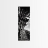 Windy Forest Trail, Dark Coastal Trees, Atmospheric Nature, Framed Canvas Print, Fall Living Room Wall Art, Moody Landscape Aesthetic