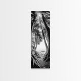 Forest Path, Ocean View, Tall Trees, Canvas Print, Black and White Nature Art, Entryway Wall Art, Rustic Woodland Aesthetic, Bedroom Wall Art