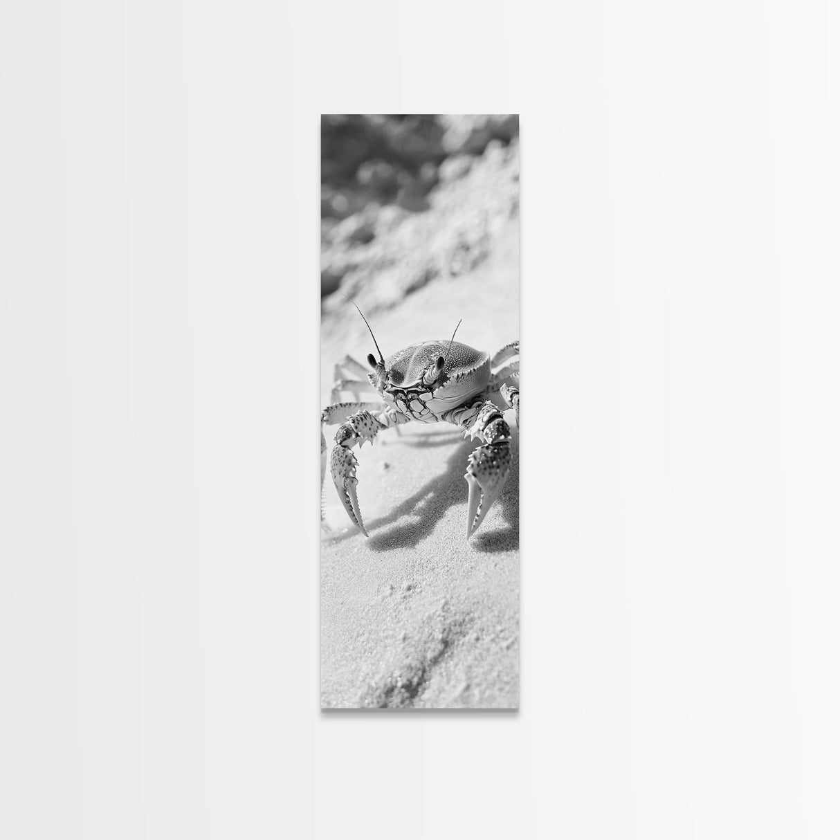 Sand Crab, Coastal Vibes, Beach Creature, Desert Aesthetic, Monochrome Wall Art, Canvas Print, Boho Bathroom Decor, Ocean Life Artwork