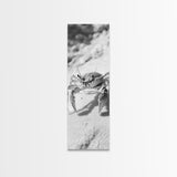 Sand Crab, Coastal Vibes, Beach Creature, Desert Aesthetic, Monochrome Wall Art, Canvas Print, Boho Bathroom Decor, Ocean Life Artwork
