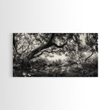 Twisted Forest Canopy, Ancient Trees, Mystical Woodland, Canvas Print, Boho Living Room Art, Black and White Nature Print, Cabin Decor