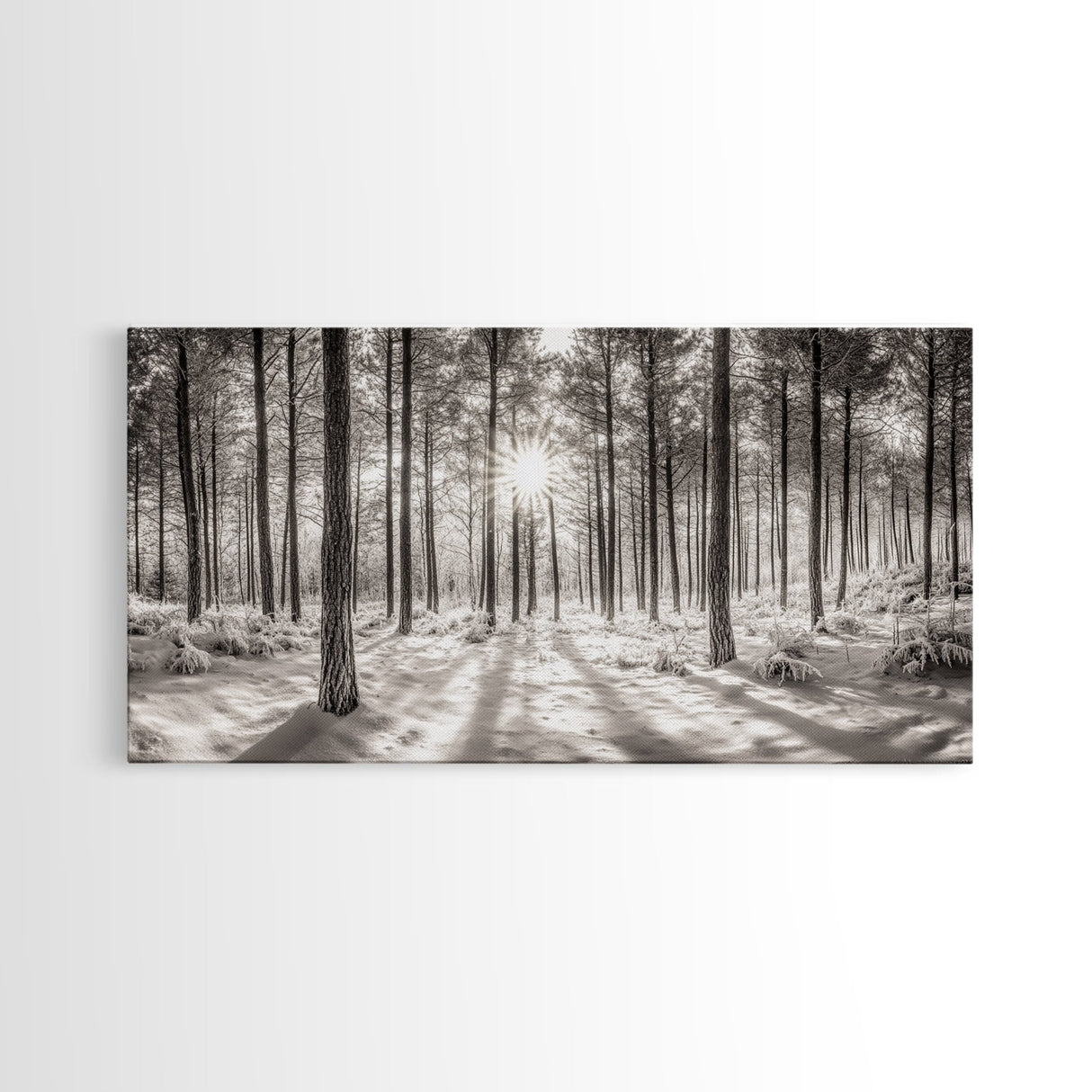 Winter Pine Forest, Sunlight Snow Trees, Nature Landscape Photography, Framed Canvas Print, Cabin Decor, Minimalist Wall Art
