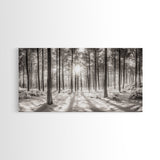Winter Pine Forest, Sunlight Snow Trees, Nature Landscape Photography, Framed Canvas Print, Cabin Decor, Minimalist Wall Art