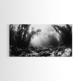 Kelp Forest Rays, Underwater Light, Black and White Ocean Scene, Framed Canvas Print, Nature Wall Art, Coastal Bathroom Decor