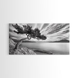 Tree Horizon, Curved Pine, Coastal Calm, Zen Scene, Canvas Print, Living Room Wall Art, Wabi Sabi Decor, Natural Minimal Aesthetic