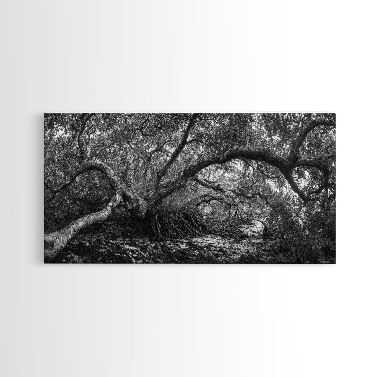Mangrove Roots, Twisted Forest, Wild Nature, Moody Jungle, Framed Canvas Print, Rustic Living Room Art, Woodland Decor, Boho Vibes