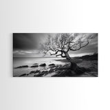 Coastal Tree, Tidal Shore, Windswept Beauty, Natural Balance, Framed Canvas Print, Bedroom Wall Art, Boho Decor, Serene Seascape