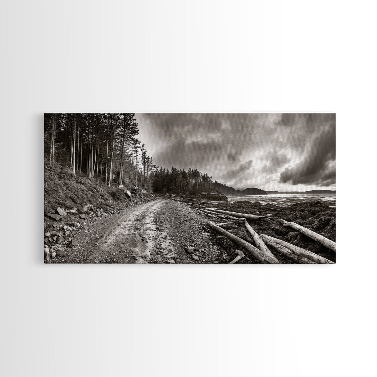 Forest Ocean Trail, Stormy Beach Scene, Driftwood Pathway, Framed Canvas Print, Cabin Entryway or Nature-Inspired Living Room Art