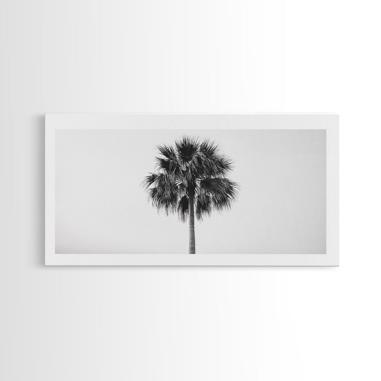 Minimal Palm Tree, Tropical Simplicity, Black and White Art, Framed Canvas Print, Modern Entryway or Minimalist Bathroom Wall Art