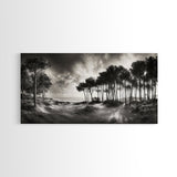 Tree Silhouettes, Coastal Pines Sunset, Nature Path Scene, Framed Canvas Print, Autumn Living Room or Rustic Cabin Wall Decor