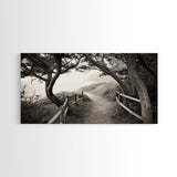 Ocean Cliff Path, Framed Trail Trees, Coastal Escape Scene, Framed Canvas Print, Boho Bedroom or Peaceful Hallway Wall Art, Entryway Accent
