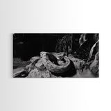 Jungle Snake Scene, Reptile Animal Art, Bold Black and White, Framed Canvas Print, Wildlife Decor, Man Cave or Study Wall Art