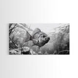 Underwater Fish, Nature Photography, Lake Life Scene, Freshwater Animal, Framed Canvas Print, Bathroom Wall Art, Minimalist Decor