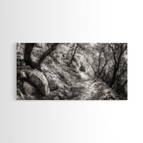 Woodland Trail, Autumn Path, Tree Tunnel, Rustic Outdoor Vibe, Framed Canvas Print, Entryway Nature Art, Moody Forest Decor
