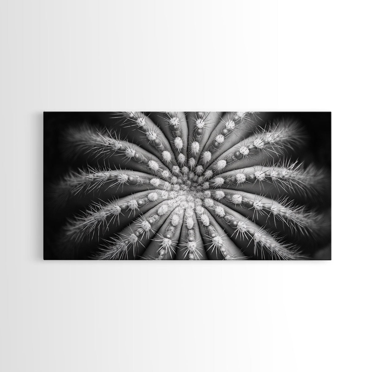 Cactus Spiral, Desert Bloom, Nature Closeup, Modern Decor, Framed Canvas Print, Minimalist Botanical Art, Office Wall Art, Succulent Texture