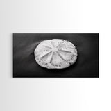 Sand Dollar, Beach Detail, Minimalist Sea, Calm Nature, Framed Canvas Print, Bathroom Wall Art, Coastal Boho Decor, Ocean Zen Style