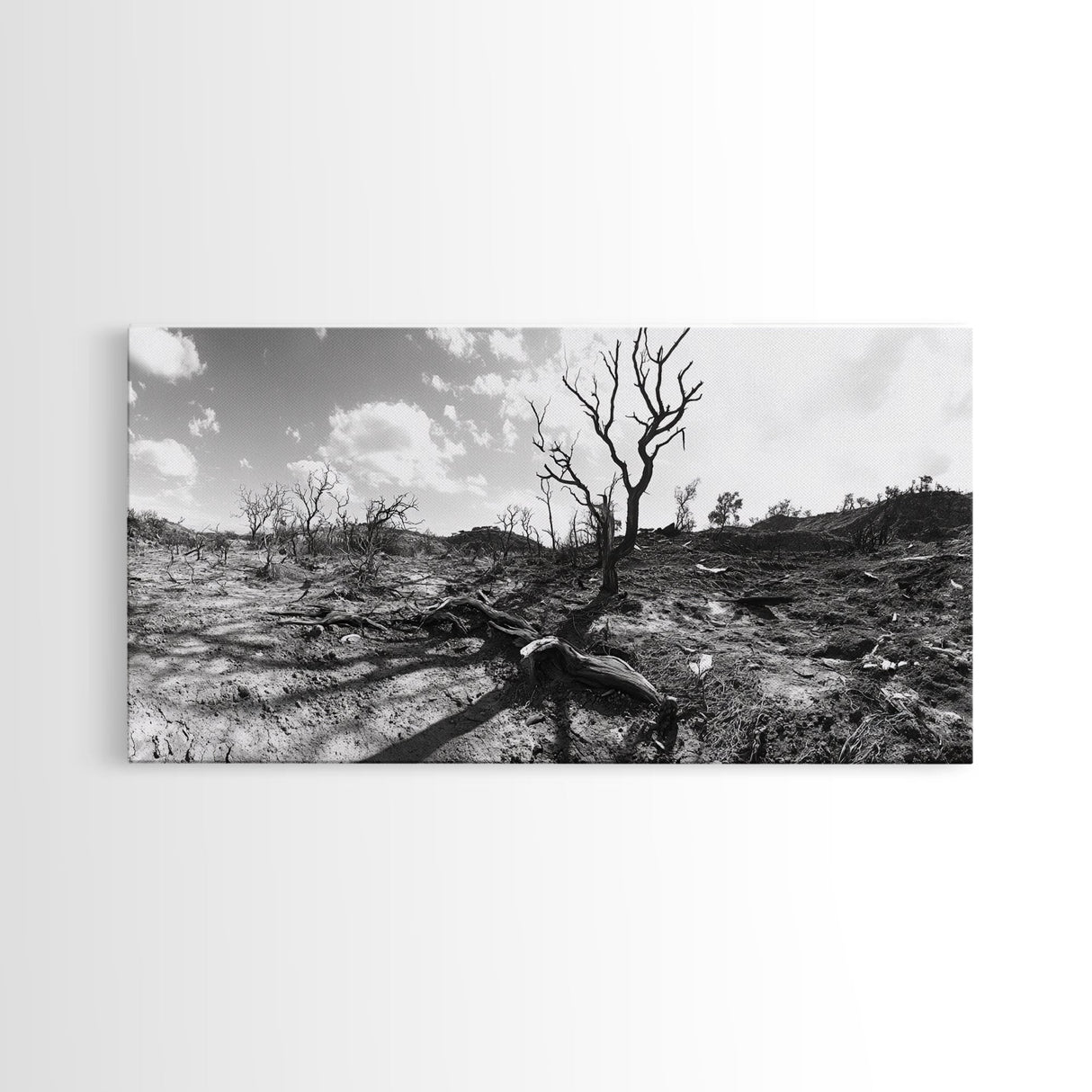 Barren Tree Landscape, Post Fire Terrain, Dystopian Forest Scene, Survival Mood, Canvas Print, Office Wall Art, Dark Nature Decor