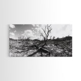 Barren Tree Landscape, Post Fire Terrain, Dystopian Forest Scene, Survival Mood, Canvas Print, Office Wall Art, Dark Nature Decor