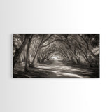 Tree Tunnel Trail, Light Dappled Path, Forest Archway Scene, Framed Canvas Print, Hallway Wall Art, Boho Natural Decor, Living Room Wall Art