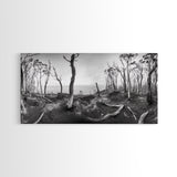 Burnt Forest, Moody Trees, Coastal Landscape, Nature Scene, Framed Canvas Print, Rustic Wall Art, Boho Decor, Fall Home Aesthetic