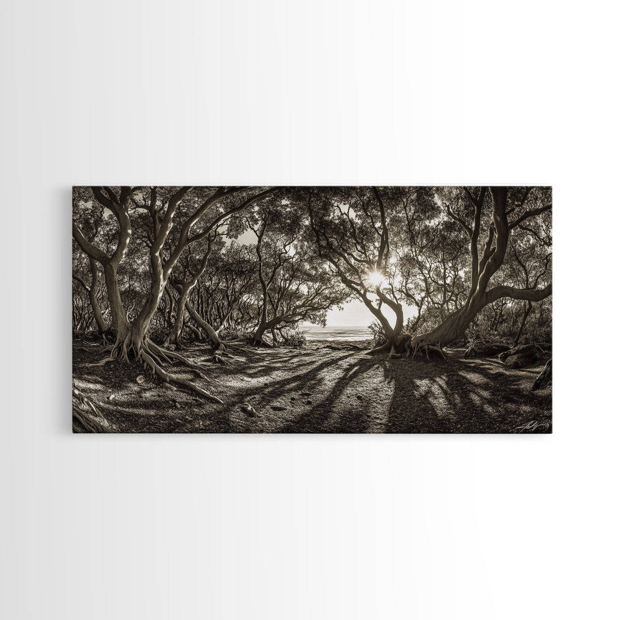 Enchanted Forest Light, Tree Shadows, Nature Landscape, Framed Canvas Print, Rustic Wall Art, Entryway Woodland Decor, Boho Forest Print