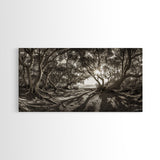 Enchanted Forest Light, Tree Shadows, Nature Landscape, Framed Canvas Print, Rustic Wall Art, Entryway Woodland Decor, Boho Forest Print