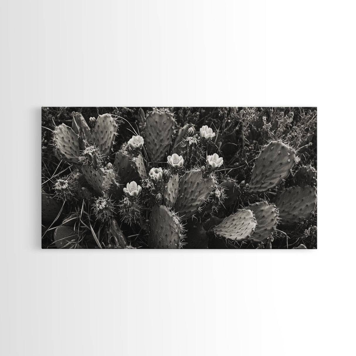 Cactus Blooms, Desert Flowers, Prickly Pear, Nature Closeup, Framed Canvas Print, Southwestern Art, Kitchen Wall Art, Boho Style