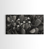 Cactus Blooms, Desert Flowers, Prickly Pear, Nature Closeup, Framed Canvas Print, Southwestern Art, Kitchen Wall Art, Boho Style