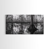 Swamp Trees, Cypress Water, Nature Reflections, Marsh Scene, Framed Canvas Print, rustic cabin decor, hallway wall art, forest wall print