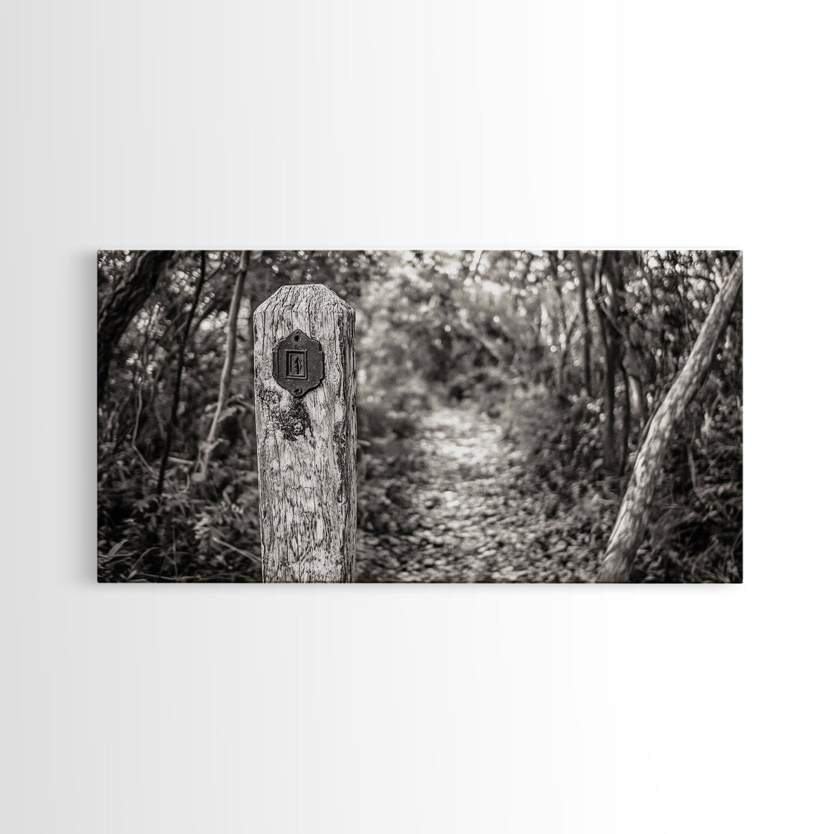 Trail Marker, Wooded Path, Rustic Forest, Natural Journey, Framed Canvas Print, farmhouse decor, nature lover gift, Autumn entryway art