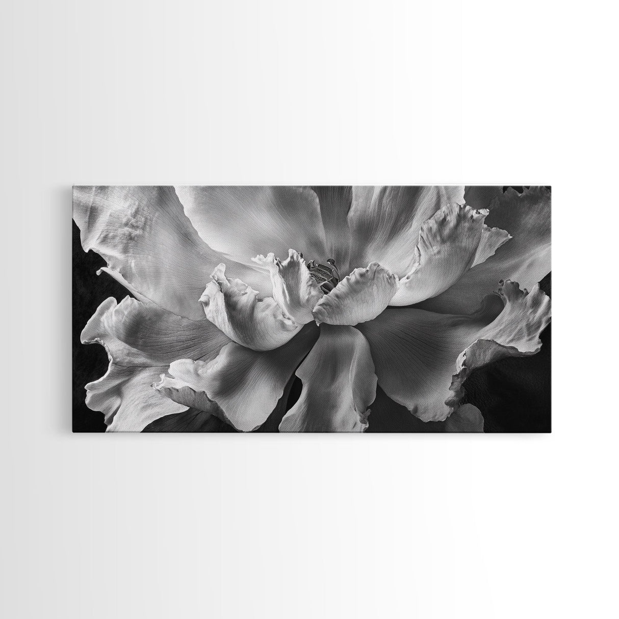Floral Closeup, Petal Texture, Macro Bloom, Canvas Print, Botanical Bedroom Wall Art, Black And White Flower, Modern Nature Photography