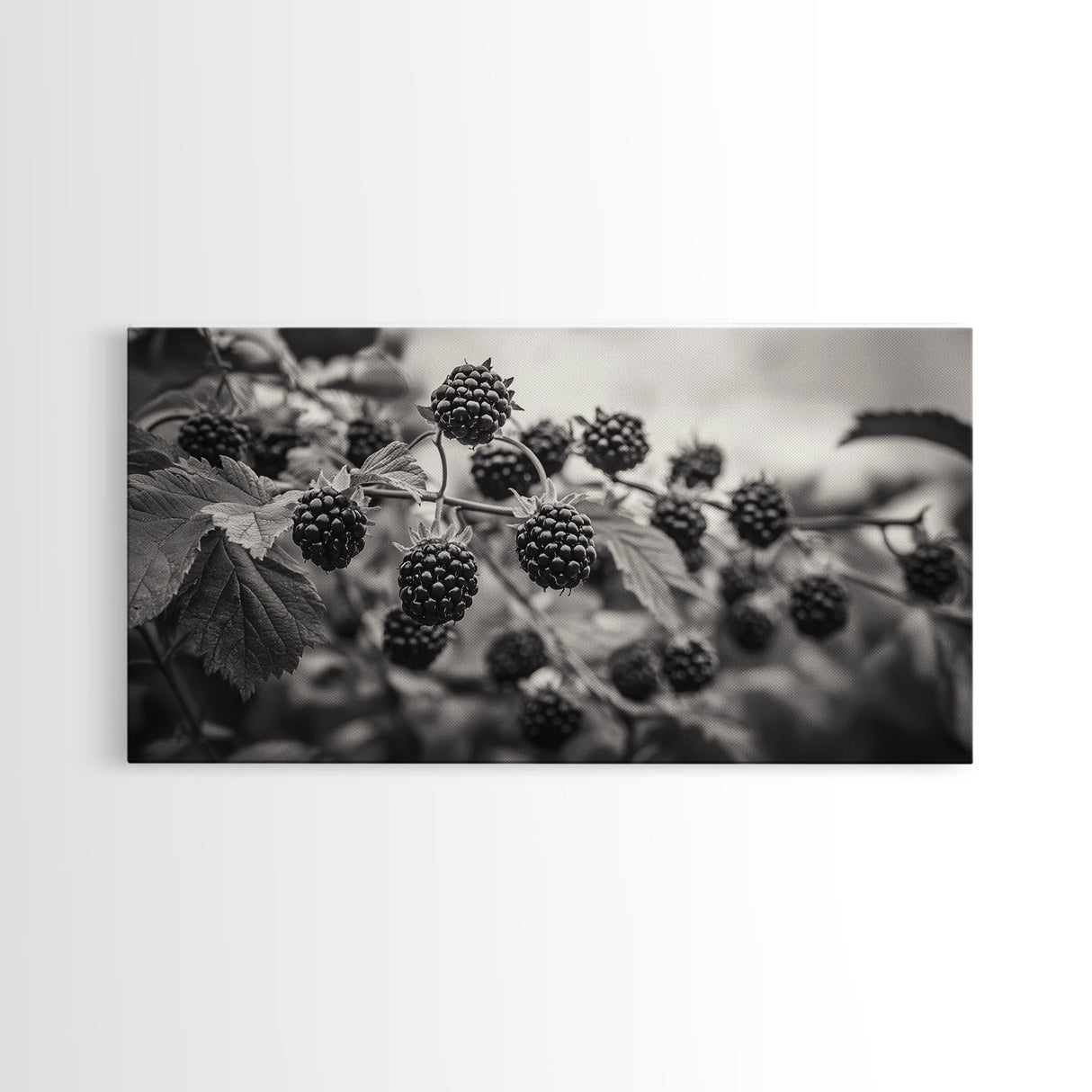 Blackberries on Vine, Farmhouse Kitchen Art, Rustic Fruit Wall Decor, Country Style, Autumn Botanical Photography, Canvas Print