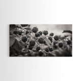 Blackberries on Vine, Farmhouse Kitchen Art, Rustic Fruit Wall Decor, Country Style, Autumn Botanical Photography, Canvas Print