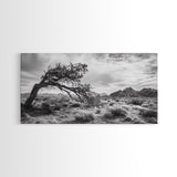 Twisted Tree, Desert Landscape, Surreal Nature, Canvas Print, Rustic Western Decor, Living Room Wall Art, Moody Earth Tones, Fall Aesthetic
