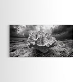 Coral Texture, Ocean Storm, Dramatic Sky, Sea Fossil, Framed Canvas Print, Coastal Nature Art, Fall Entryway Wall Decor, Cabin Wall Art