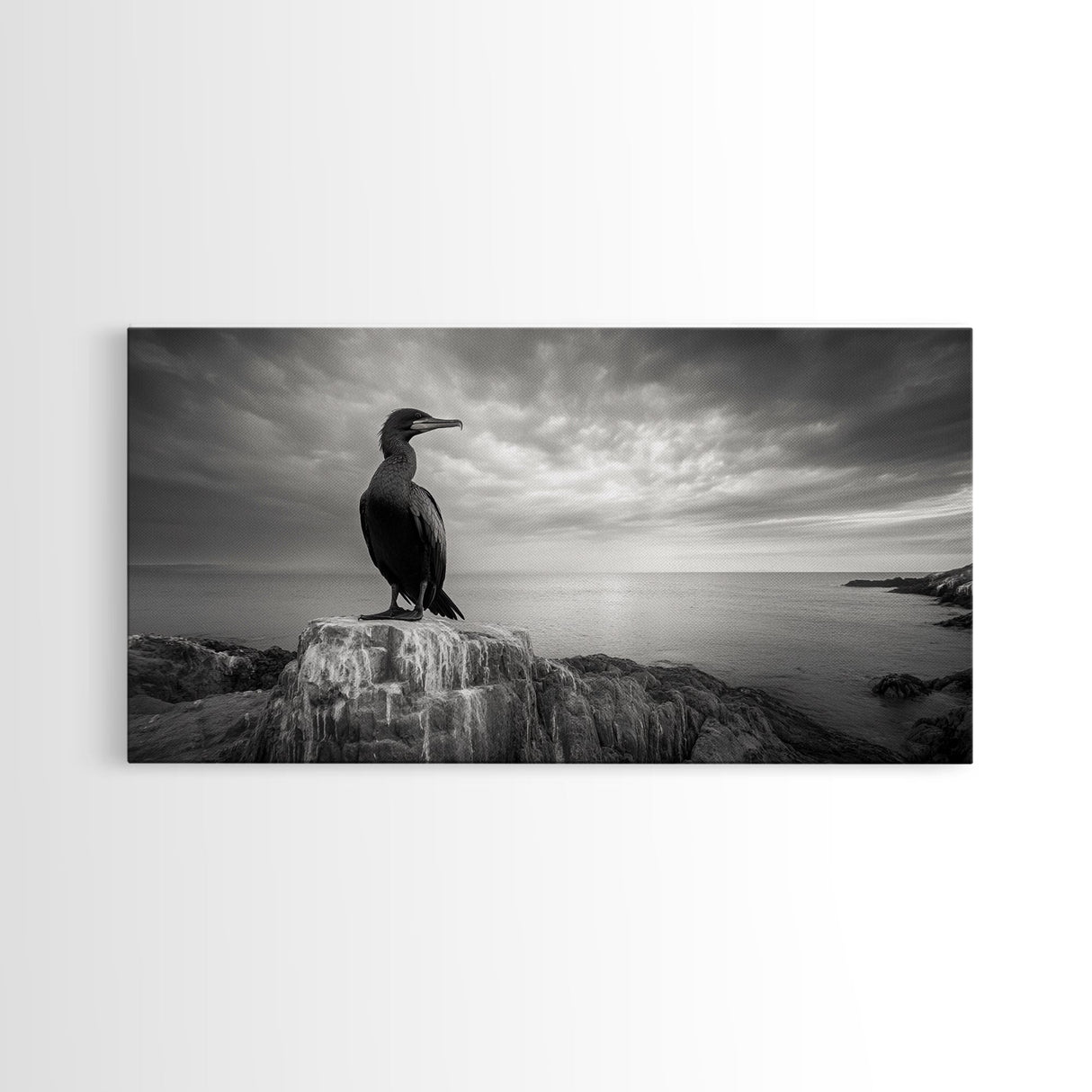 Sea Bird, Rocky Shore, Stormy Horizon, Coastal Watcher, Canvas Print, Nature Photography Art, Bedroom Decor, Ocean Wildlife