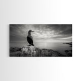 Sea Bird, Rocky Shore, Stormy Horizon, Coastal Watcher, Canvas Print, Nature Photography Art, Bedroom Decor, Ocean Wildlife