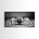 Hermit Crab, Close-Up, Ocean Creature, Monochrome Nature, Framed Canvas Print, Marine Wall Decor, Coastal Kitchen Wall Art, Entryway Accent