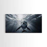 Underwater Dolphin, Ocean Wildlife Art, Marine Animal Decor, Coastal Vibes, Canvas Print, Bathroom Wall Art, Nautical Themed Room