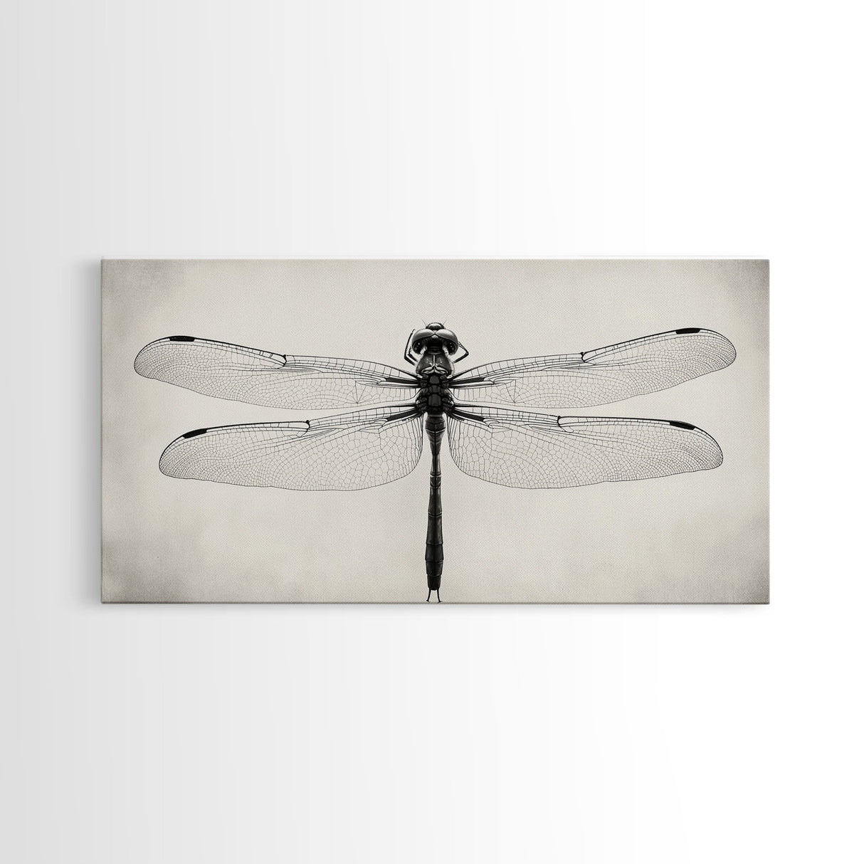 Dragonfly Sketch, Insect Art Print, Botanical Illustration, Minimalist Natural History, Framed Canvas Print, Office or Study Wall Art