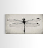 Dragonfly Sketch, Insect Art Print, Botanical Illustration, Minimalist Natural History, Framed Canvas Print, Office or Study Wall Art