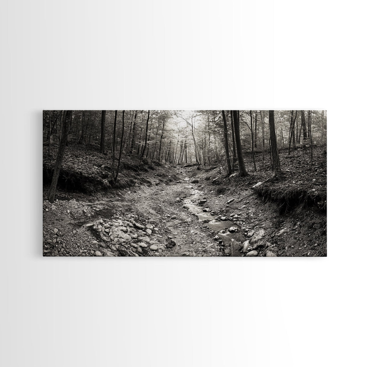 Forest Stream, Tranquil Woodland Path, Autumn Nature Photography, Framed Canvas Print, Rustic Cabin Decor, Living Room Wall Art
