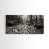 Forest Stream, Tranquil Woodland Path, Autumn Nature Photography, Framed Canvas Print, Rustic Cabin Decor, Living Room Wall Art