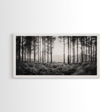 Forest Light Scene, Tall Trees Shadows, Nature Mist Pathway, Framed Canvas Print, Woodland Bedroom Art, Boho Rustic Wall Decor