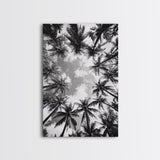 Palm Tree Sky, Tropical Canopy, Black and White Island View, Jungle Overhead Scene, Framed Canvas Print, Bathroom Wall Art, Beach Boho Decor